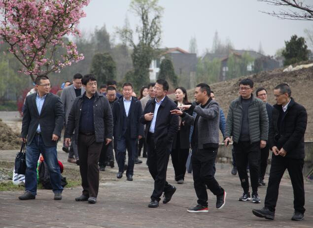 集團領導赴街子項目地調研指導工作