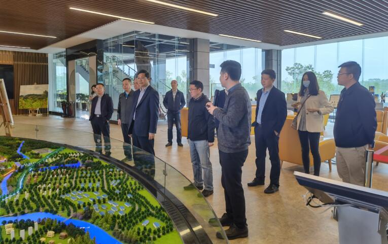 廣西旅發集團黨委書記、董事長容賢標考察集團文旅項目