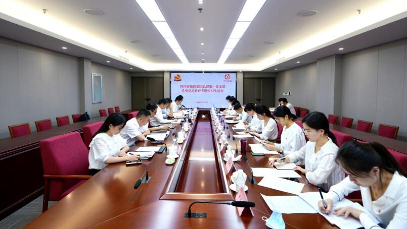 旅投集團黨委書記、董事長任丁參加總部第一黨支部黨史學習教育專題組織生活會