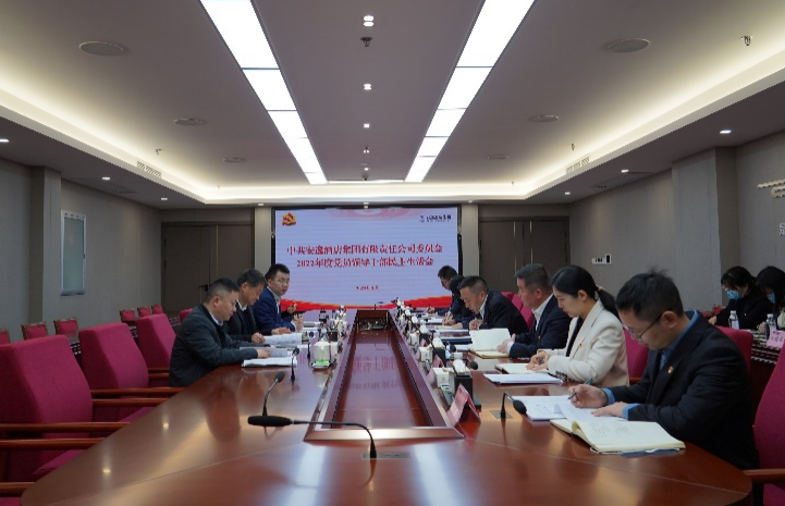 旅投集團黨委書記、董事長任丁出席安逸酒店集團2022年度黨員領導干部民主生活會