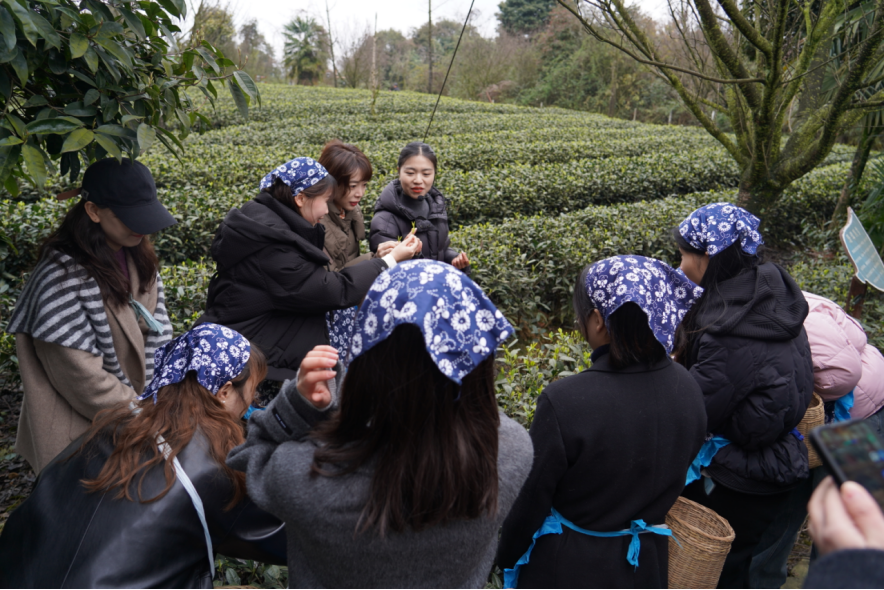 省旅投集團下屬企業組織開展“三八”國際勞動婦女節主題活動